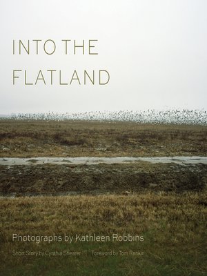 cover image of Into the Flatland